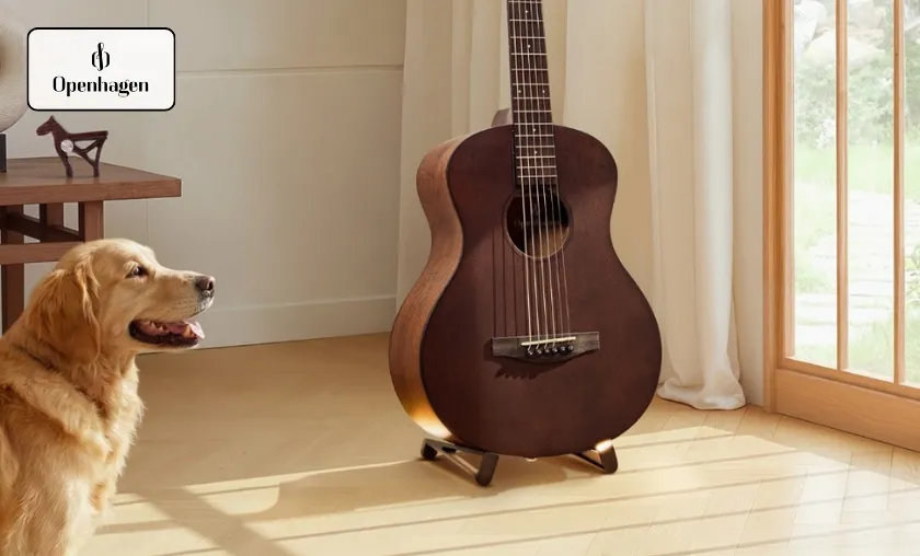 The Story of Openhagen!