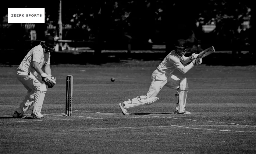 Zeepk Sports Review: The Best Cricket Bats & Kits! ([wpsm_custom_meta type=date field=month] [wpsm_custom_meta type=date field=year]) - The Complete Portal