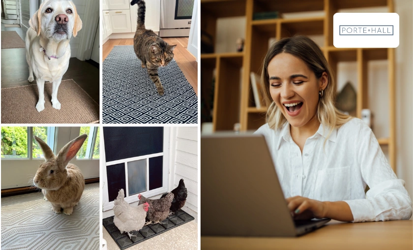 Porte + Hall US Review: Best Doormats, Rugs & Decor! ([wpsm_custom_meta type=date field=month] [wpsm_custom_meta type=date field=year]) - The Complete Portal