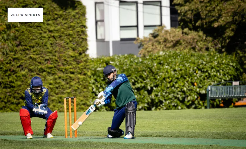 Zeepk Sports Review: The Best Cricket Bats & Kits! ([wpsm_custom_meta type=date field=month] [wpsm_custom_meta type=date field=year]) - The Complete Portal