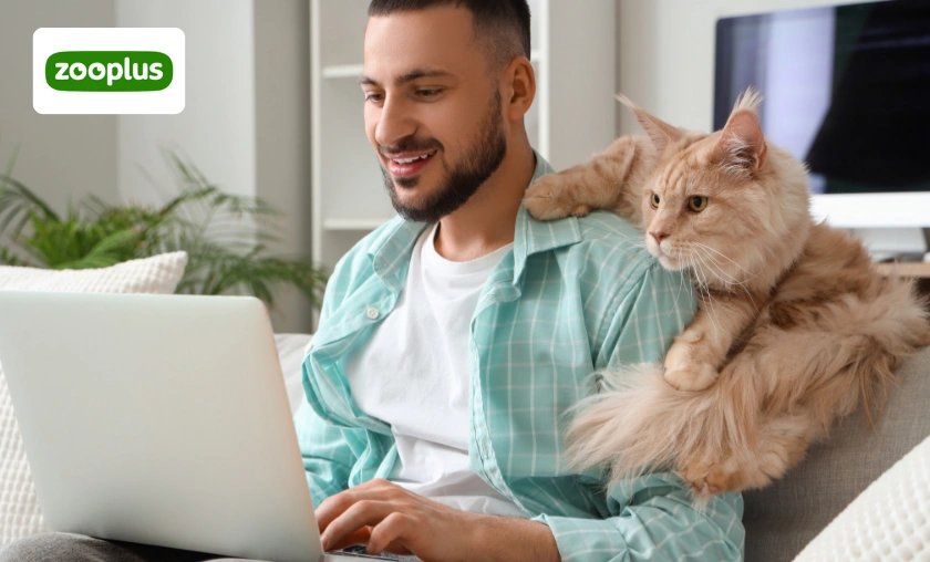 Zooplus Review: Best Pet Food, Toys & Accessories! ([wpsm_custom_meta type=date field=month] [wpsm_custom_meta type=date field=year]) - The Complete Portal