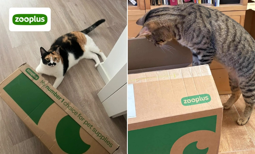 Zooplus Review Trusted Products for Every Pet Owner