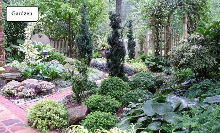 Gardzen Review: Best Garden Bags & Grow Supplies! ([wpsm_custom_meta type=date field=month] [wpsm_custom_meta type=date field=year]) - The Complete Portal