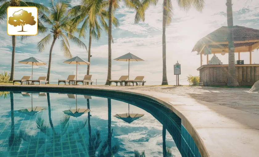 Golden Tree Spa Review: Best Wellness & Spa Services! ([wpsm_custom_meta type=date field=month] [wpsm_custom_meta type=date field=year]) - The Complete Portal