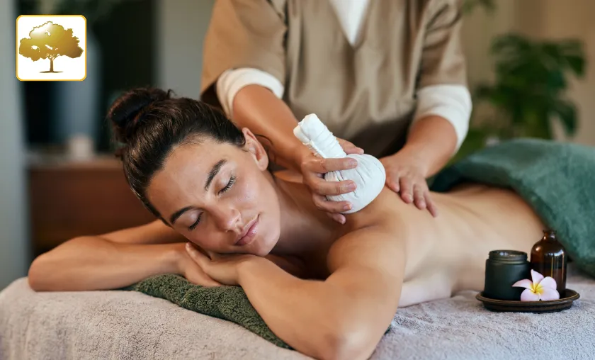 Golden Tree Spa Review: Best Wellness & Spa Services! ([wpsm_custom_meta type=date field=month] [wpsm_custom_meta type=date field=year]) - The Complete Portal