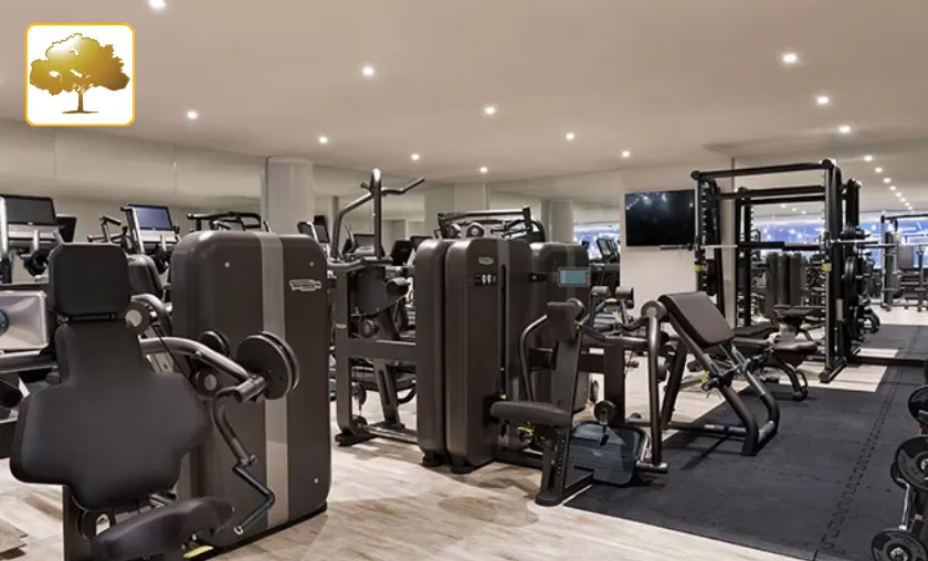 Golden Tree Spa Review: Best Wellness & Spa Services! ([wpsm_custom_meta type=date field=month] [wpsm_custom_meta type=date field=year]) - The Complete Portal