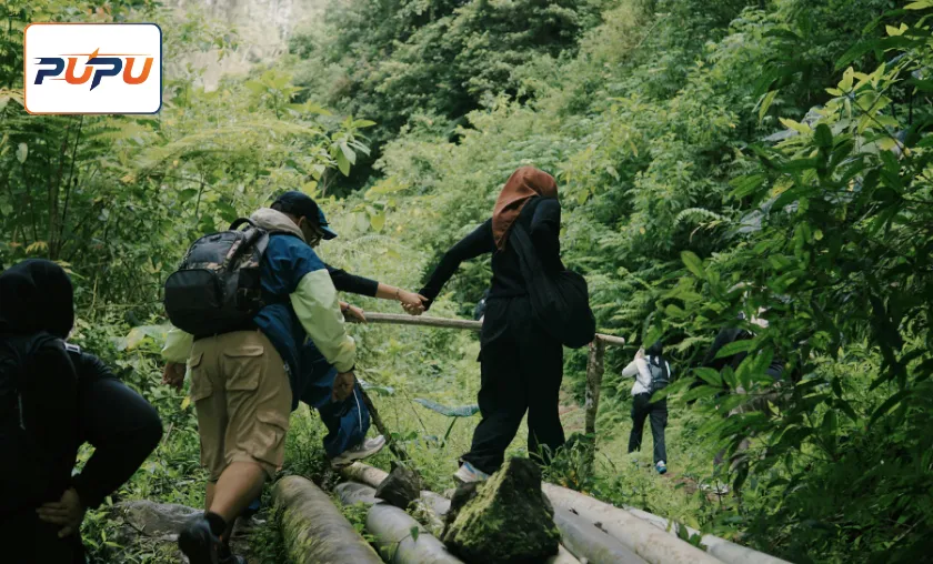 PUPU Review: Best Quality Sportswear & Gear! ([wpsm_custom_meta type=date field=month] [wpsm_custom_meta type=date field=year]) - The Complete Portal