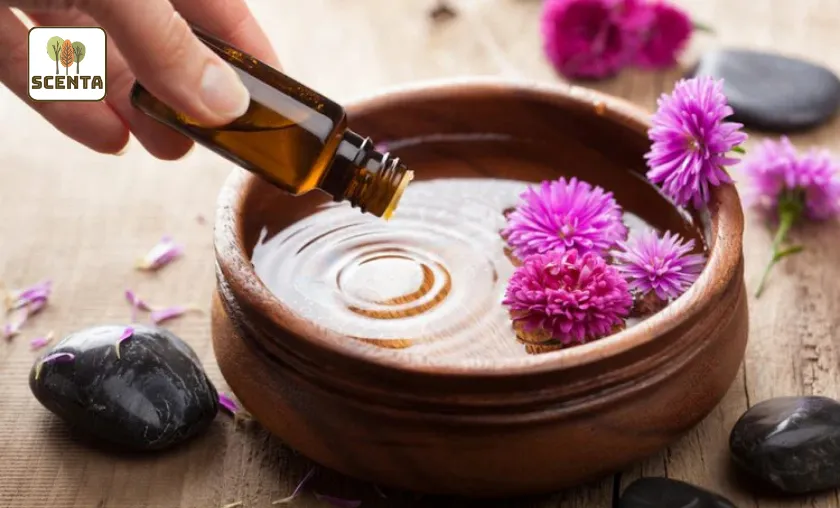 SCENTA Review: Luxury Essential Oils & Diffusers!([wpsm_custom_meta type=date field=month] [wpsm_custom_meta type=date field=year]) - The Complete Portal