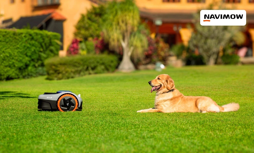 How the Navimow US is Better or Works