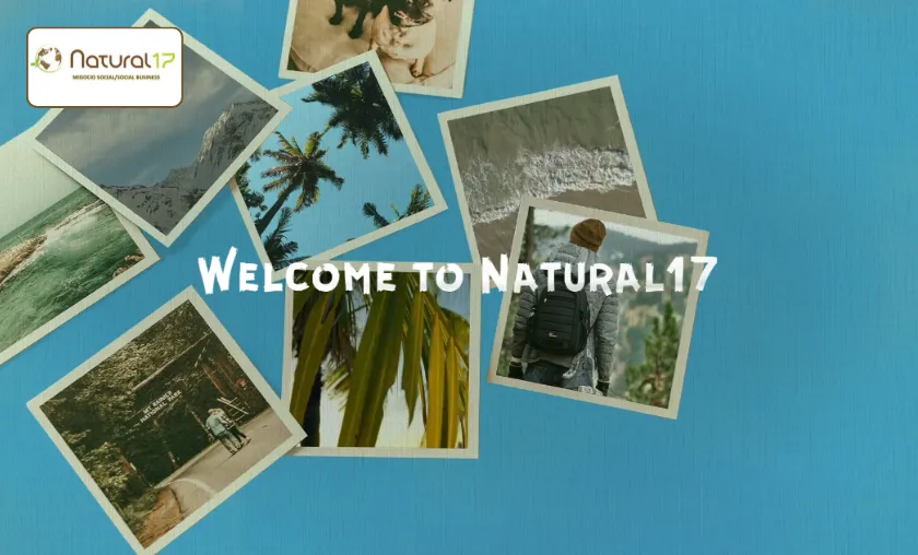 Natural17 Review: Best Skincare & Wellness Products! ([wpsm_custom_meta type=date field=month] [wpsm_custom_meta type=date field=year]) - The Complete Portal