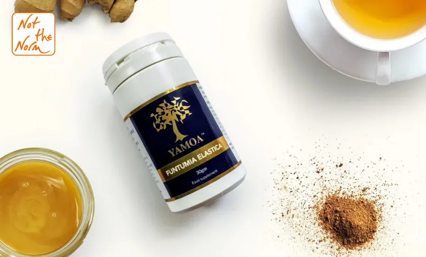 Not the Norm Review: The Best Immune & Joint Support! ([wpsm_custom_meta type=date field=month] [wpsm_custom_meta type=date field=year]) - The Complete Portal