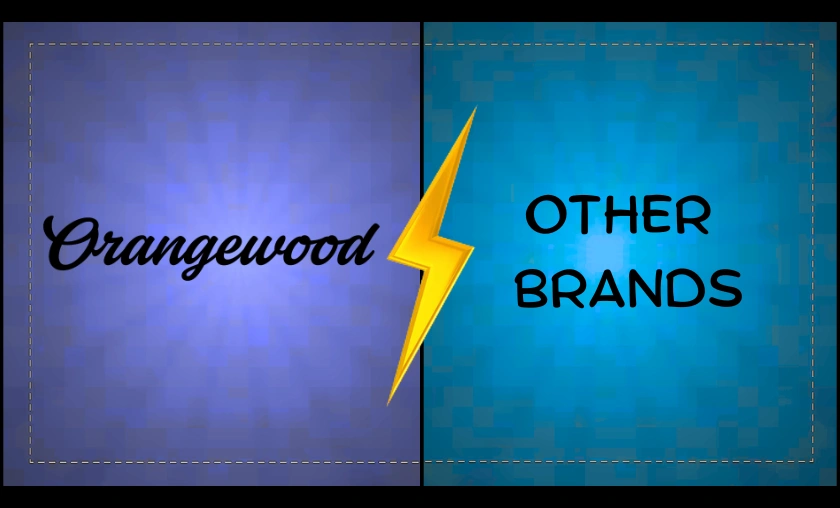 Orangewood US Review: Best Budget Acoustic Guitar Brand! ([wpsm_custom_meta type=date field=month] [wpsm_custom_meta type=date field=year]) - The Complete Portal