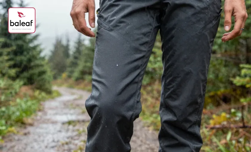 Baleaf Sports Review: Best Activewear & Apparel! ([wpsm_custom_meta type=date field=month] [wpsm_custom_meta type=date field=year]) - The Complete Portal