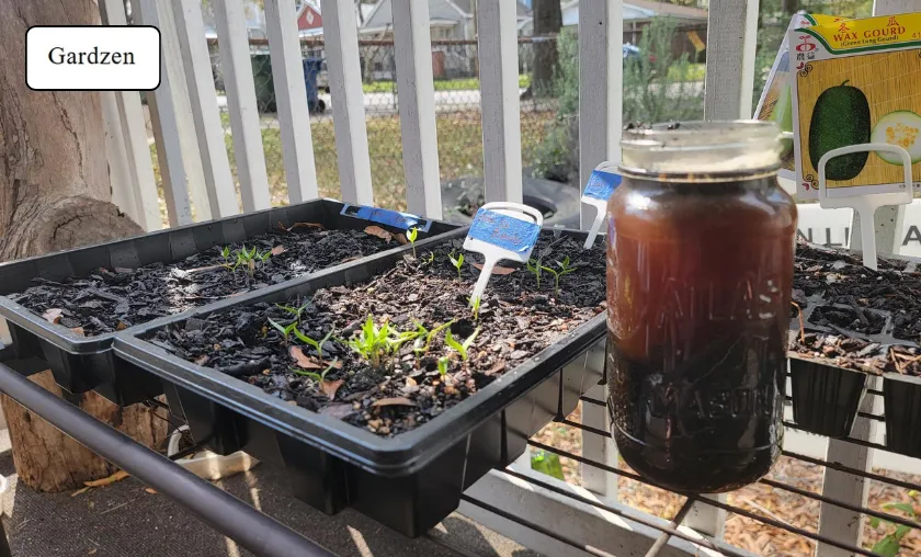 Gardzen Review: Best Garden Bags & Grow Supplies! ([wpsm_custom_meta type=date field=month] [wpsm_custom_meta type=date field=year]) - The Complete Portal