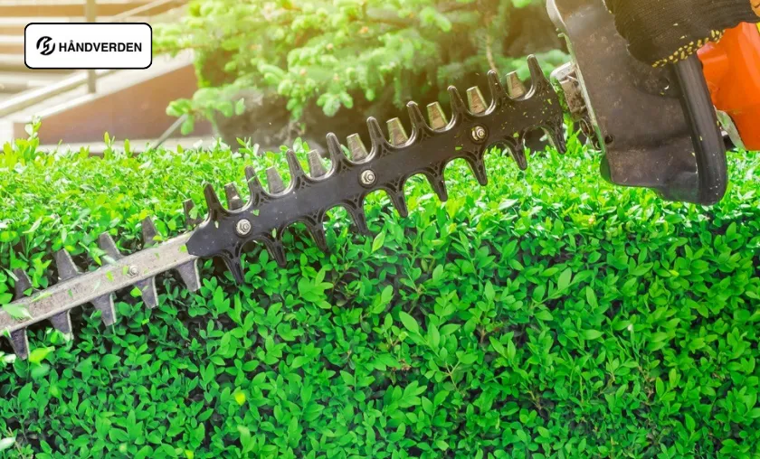 Håndverden Review: The Best Mini Chainsaws & Tools! ([wpsm_custom_meta type=date field=month] [wpsm_custom_meta type=date field=year]) - The Complete Portal