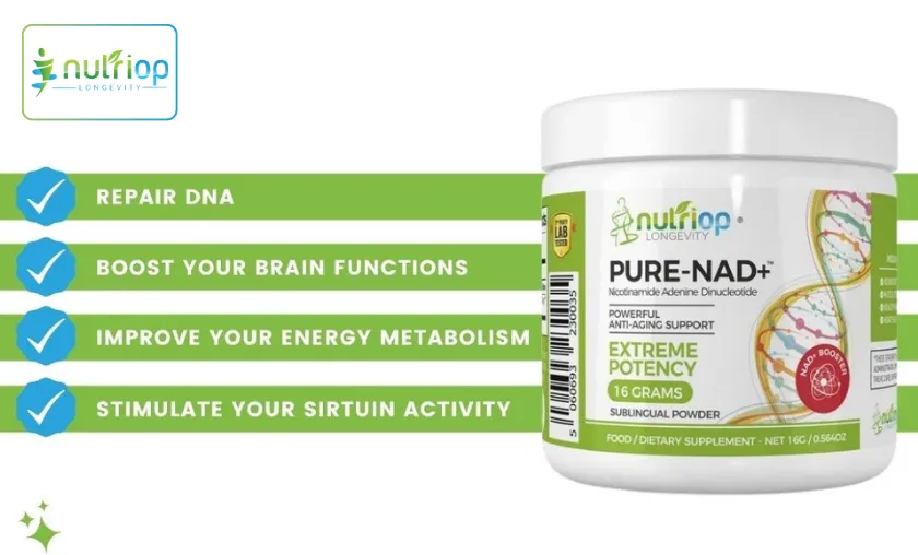 Nutriop Longevity Review: Best Supplements & Health! ([wpsm_custom_meta type=date field=month] [wpsm_custom_meta type=date field=year]) - The Complete Portal