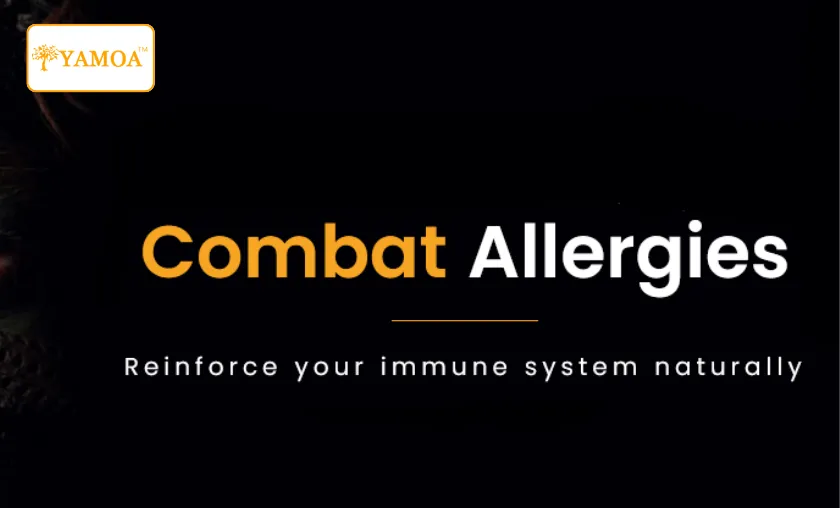 Yamoa Review: Best Respiratory Support Supplements! ([wpsm_custom_meta type=date field=month] [wpsm_custom_meta type=date field=year]) - The Complete Portal