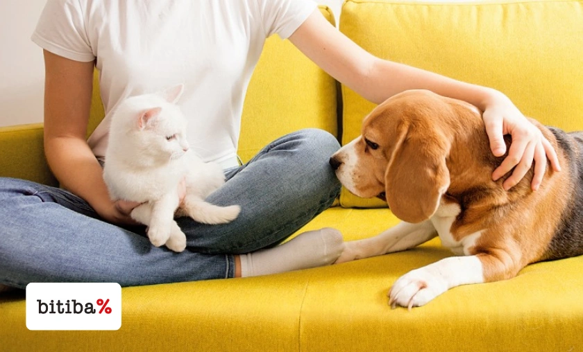 Bitiba UK Review: Best Pet Food, Toys, & Accessories! ([wpsm_custom_meta type=date field=month] [wpsm_custom_meta type=date field=year]) - The Complete Portal