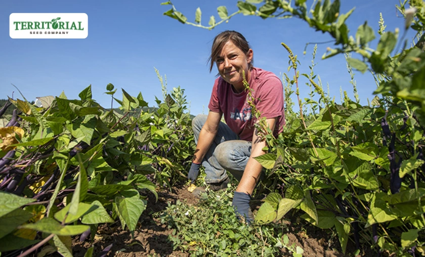 Reasons to use Territorial Seed Company US