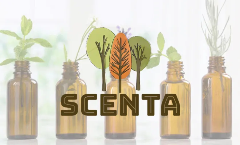 SCENTA Review: Luxury Essential Oils & Diffusers!([wpsm_custom_meta type=date field=month] [wpsm_custom_meta type=date field=year]) - The Complete Portal