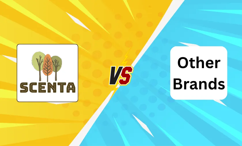 SCENTA Review: Luxury Essential Oils & Diffusers!([wpsm_custom_meta type=date field=month] [wpsm_custom_meta type=date field=year]) - The Complete Portal