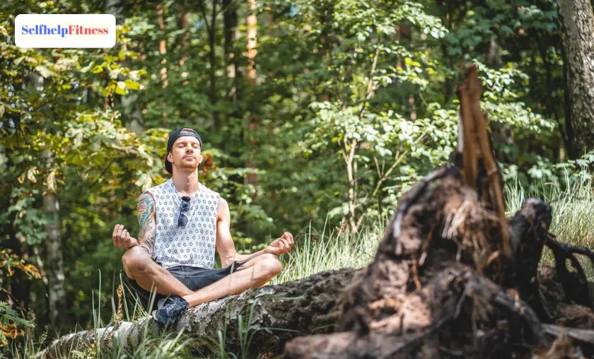 Selfhelp Fitness Review: Best Business Courses! ([wpsm_custom_meta type=date field=month] [wpsm_custom_meta type=date field=year]) - The Complete Portal