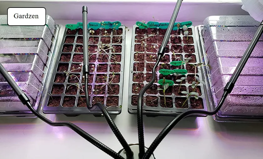 Gardzen Review: Best Garden Bags & Grow Supplies! ([wpsm_custom_meta type=date field=month] [wpsm_custom_meta type=date field=year]) - The Complete Portal