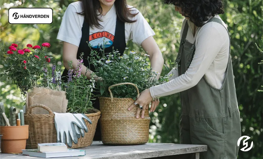 Håndverden Review: The Best Mini Chainsaws & Tools! ([wpsm_custom_meta type=date field=month] [wpsm_custom_meta type=date field=year]) - The Complete Portal