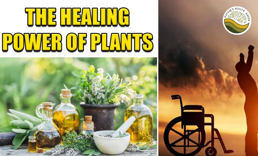 Nature's Health Haven Review: Best Herbal & Wellness! ([wpsm_custom_meta type=date field=month] [wpsm_custom_meta type=date field=year]) - The Complete Portal