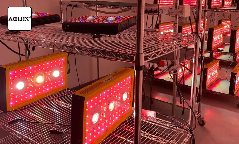 Aglex Review: Best Indoor LED Grow Lights & Series! ([wpsm_custom_meta type=date field=month] [wpsm_custom_meta type=date field=year]) - The Complete Portal