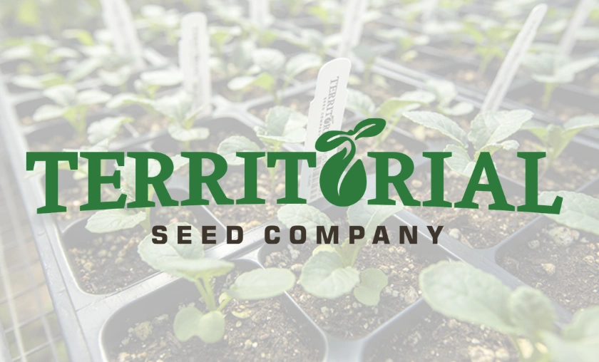 Territorial Seed Company US Review – Trusted Seeds & Gardening Resources