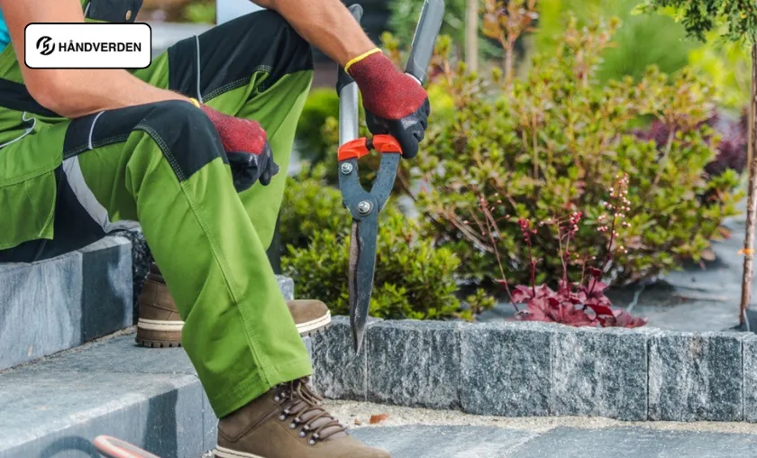 Håndverden Review: The Best Mini Chainsaws & Tools! ([wpsm_custom_meta type=date field=month] [wpsm_custom_meta type=date field=year]) - The Complete Portal