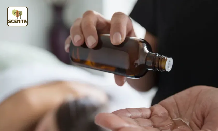 SCENTA Review: Luxury Essential Oils & Diffusers!([wpsm_custom_meta type=date field=month] [wpsm_custom_meta type=date field=year]) - The Complete Portal