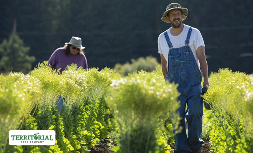 The Story of the Territorial Seed Company US