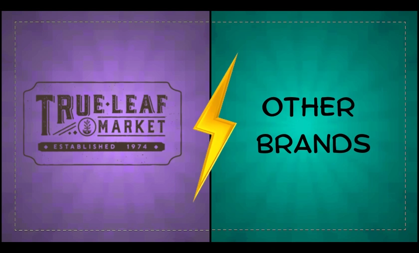 True Leaf Market Review: Seeds, Microgreens & Gardening Supplies! ([wpsm_custom_meta type=date field=month] [wpsm_custom_meta type=date field=year]) - The Complete Portal