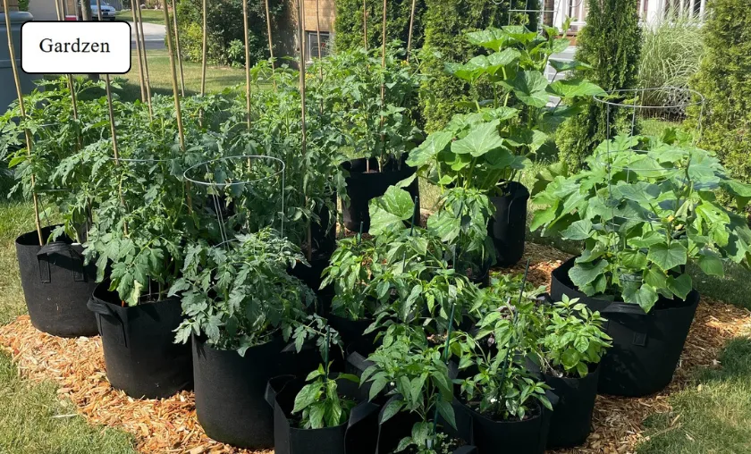 Gardzen Review: Best Garden Bags & Grow Supplies! ([wpsm_custom_meta type=date field=month] [wpsm_custom_meta type=date field=year]) - The Complete Portal