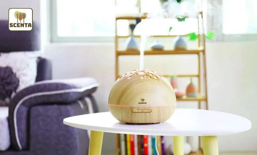 SCENTA Review: Luxury Essential Oils & Diffusers!([wpsm_custom_meta type=date field=month] [wpsm_custom_meta type=date field=year]) - The Complete Portal