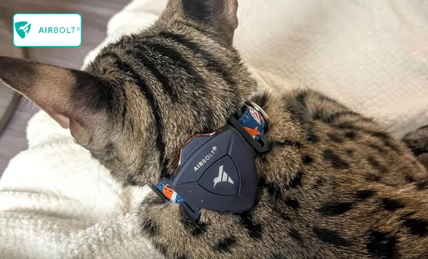 AirBolt Review: Best GPS Trackers & Smart Locks!([wpsm_custom_meta type=date field=month] [wpsm_custom_meta type=date field=year]) - The Complete Portal