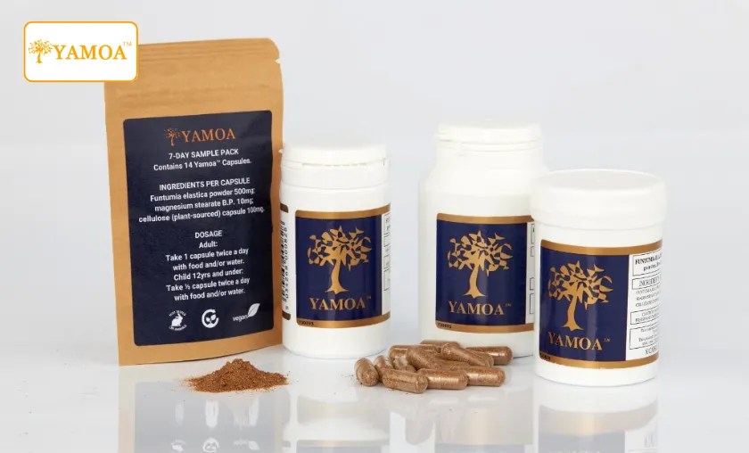 Yamoa Review: Best Respiratory Support Supplements! ([wpsm_custom_meta type=date field=month] [wpsm_custom_meta type=date field=year]) - The Complete Portal
