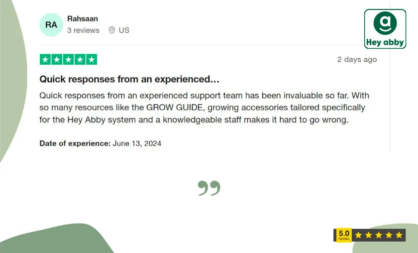 Hey abby Customer Reviews!