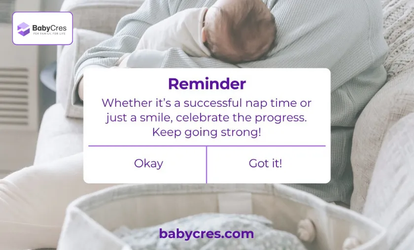 Baby Cres Review: Best Baby Essentials & Strollers! ([wpsm_custom_meta type=date field=month] [wpsm_custom_meta type=date field=year]) - The Complete Portal