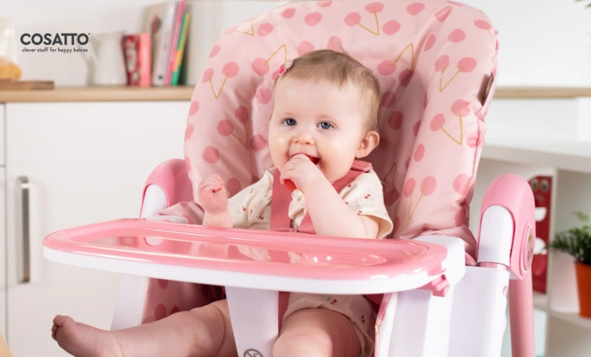 Cosatto IE Review – Baby Strollers, Travel Systems & Safety! ([wpsm_custom_meta type=date field=month] [wpsm_custom_meta type=date field=year]) - The Complete Portal