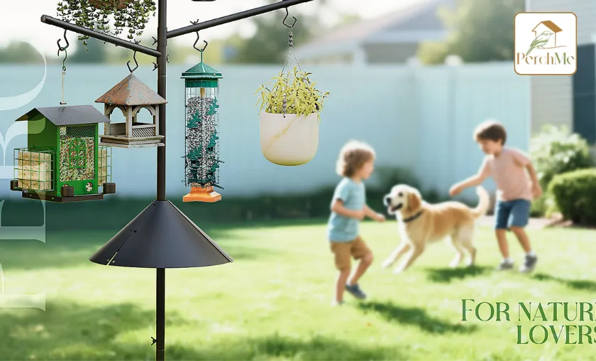 PerchMe Review: Best Smart Bird Feeders & Houses! ([wpsm_custom_meta type=date field=month] [wpsm_custom_meta type=date field=year]) - The Complete Portal