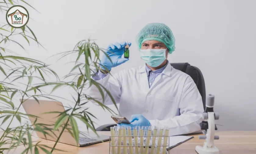 The CBD Hut Review: Best CBD Vapes & Extracts!([wpsm_custom_meta type=date field=month] [wpsm_custom_meta type=date field=year]) - The Complete Portal
