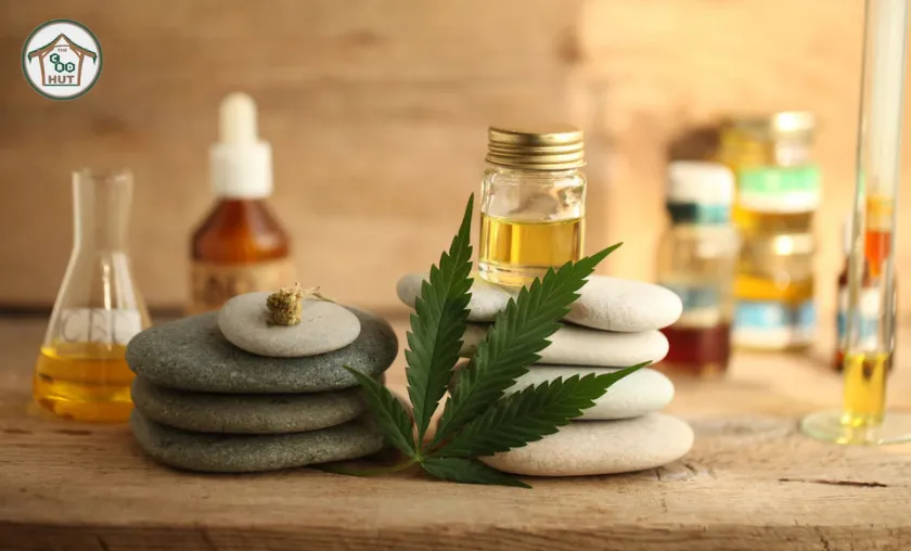 The CBD Hut Review: Best CBD Vapes & Extracts!([wpsm_custom_meta type=date field=month] [wpsm_custom_meta type=date field=year]) - The Complete Portal