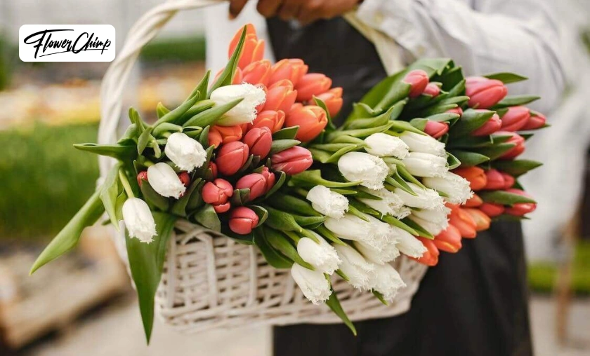 FlowerChimp Review – Best Flower & Gift Delivery Platform in Asia! ([wpsm_custom_meta type=date field=month] [wpsm_custom_meta type=date field=year]) - The Complete Portal