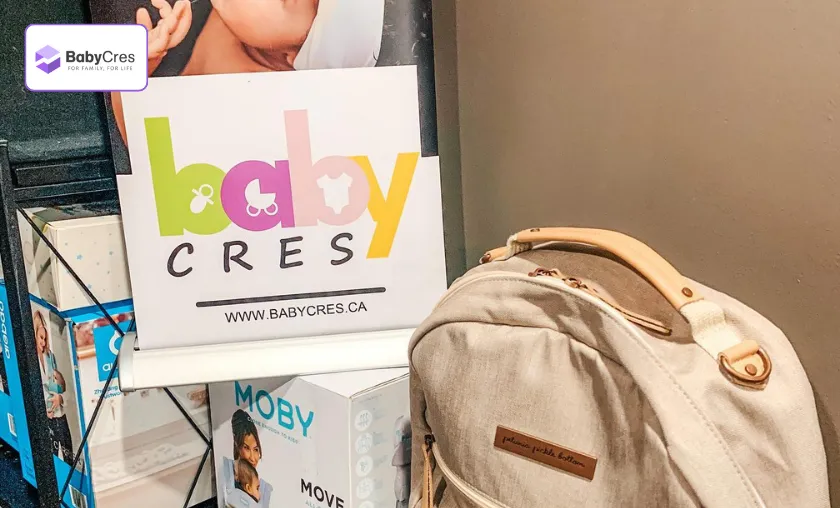 Baby Cres Review: Best Baby Essentials & Strollers! ([wpsm_custom_meta type=date field=month] [wpsm_custom_meta type=date field=year]) - The Complete Portal