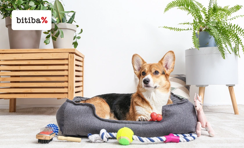 Bitiba ES Review Affordable & Practical Pet Care Shopping Online