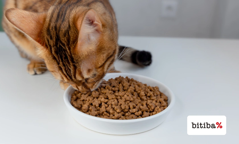 Bitiba ES Review: The Best Pet Food & Supplies! ([wpsm_custom_meta type=date field=month] [wpsm_custom_meta type=date field=year]) - The Complete Portal