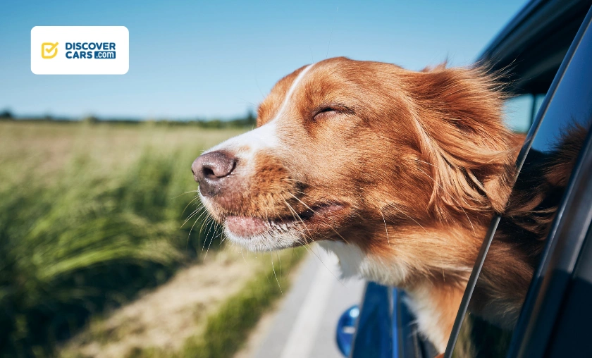 DiscoverCars Global Review: Best Online Car Rentals! ([wpsm_custom_meta type=date field=month] [wpsm_custom_meta type=date field=year]) - The Complete Portal